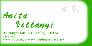 anita villanyi business card